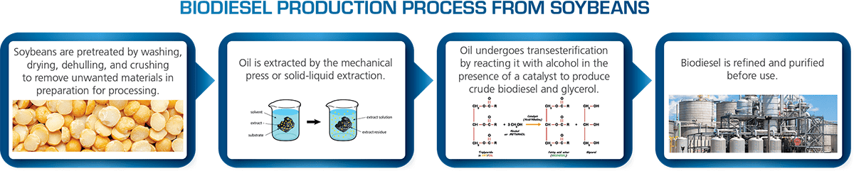 Biodiesel production process from soybeans